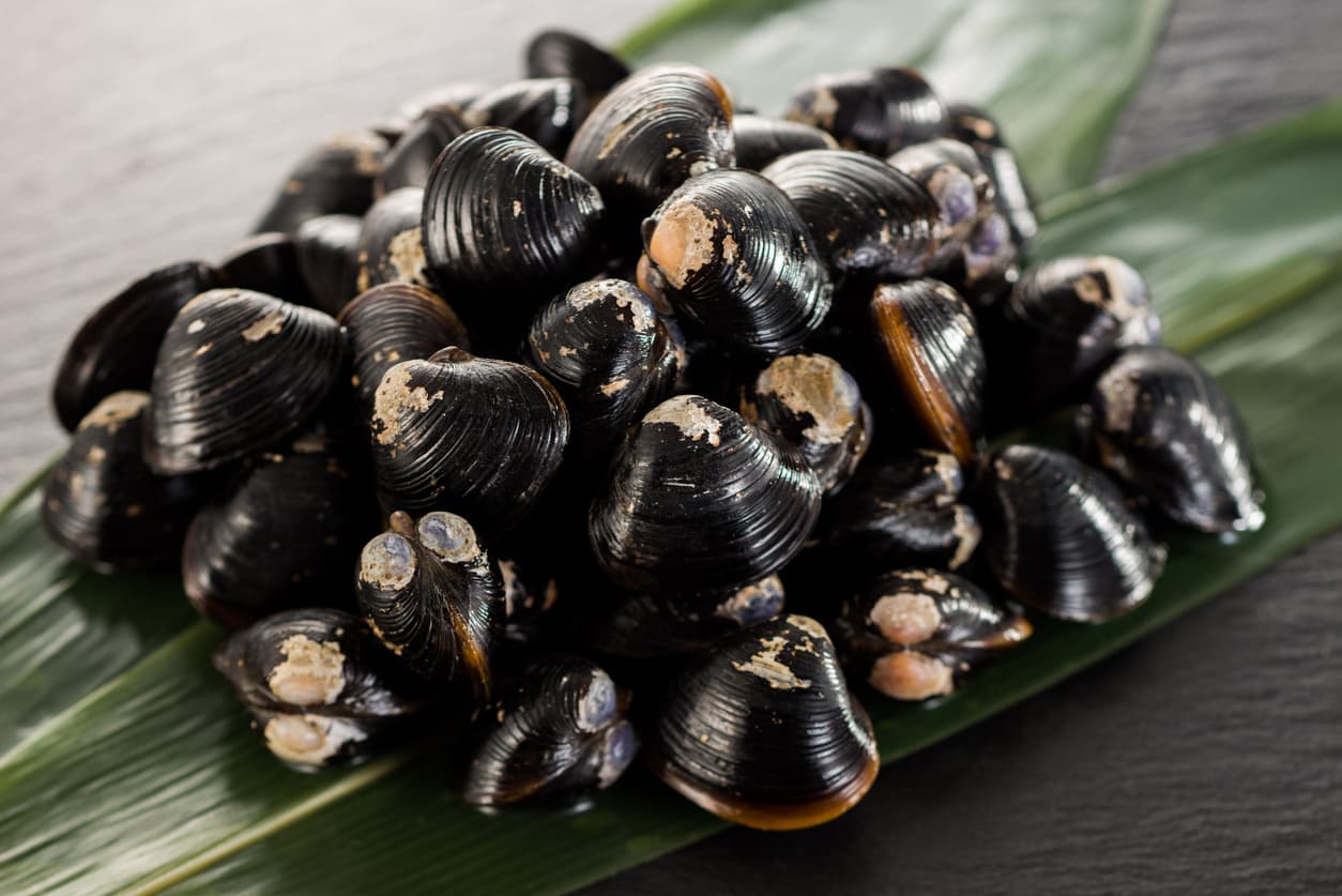 istock-1134682390.jpg